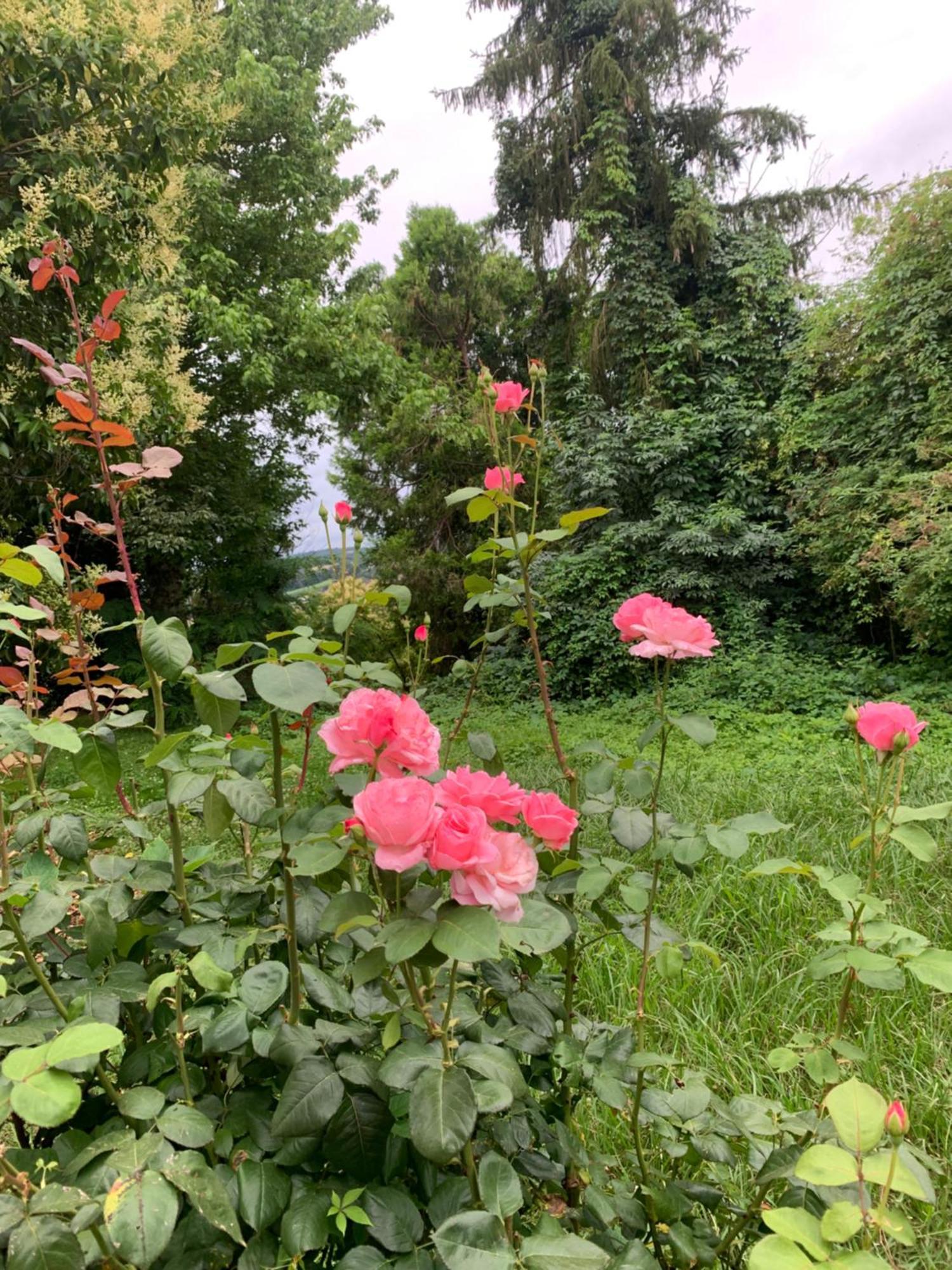 Bed and Breakfast La Poesie Lagor Zewnętrze zdjęcie